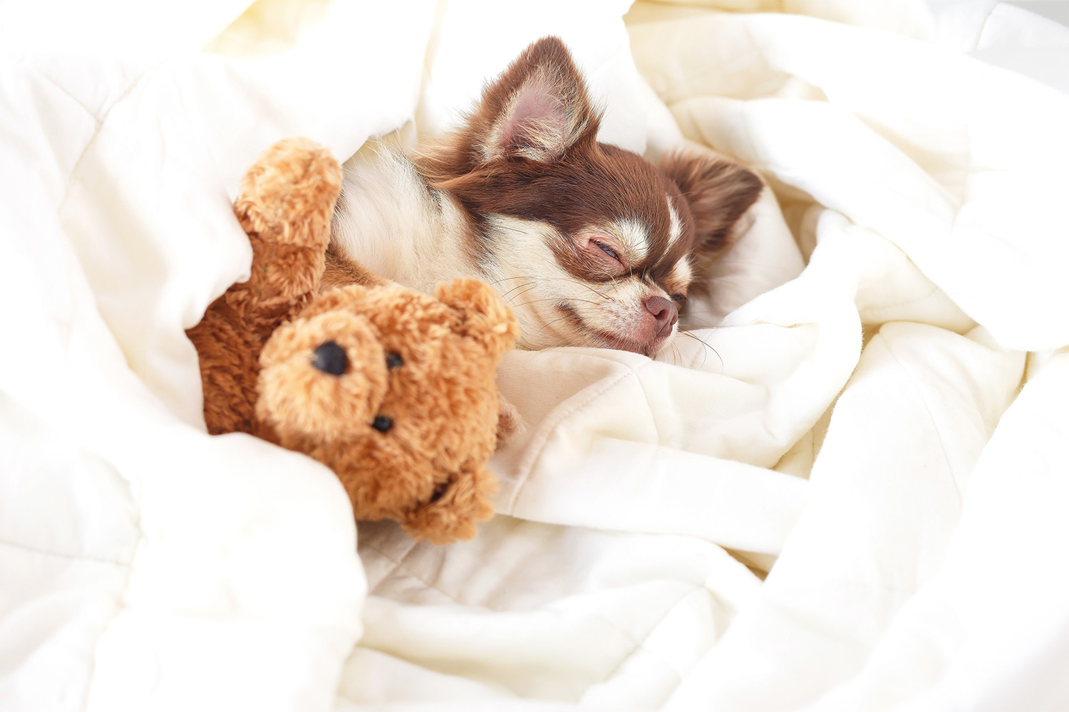 Cozy Cuddle Time Together in Your Room