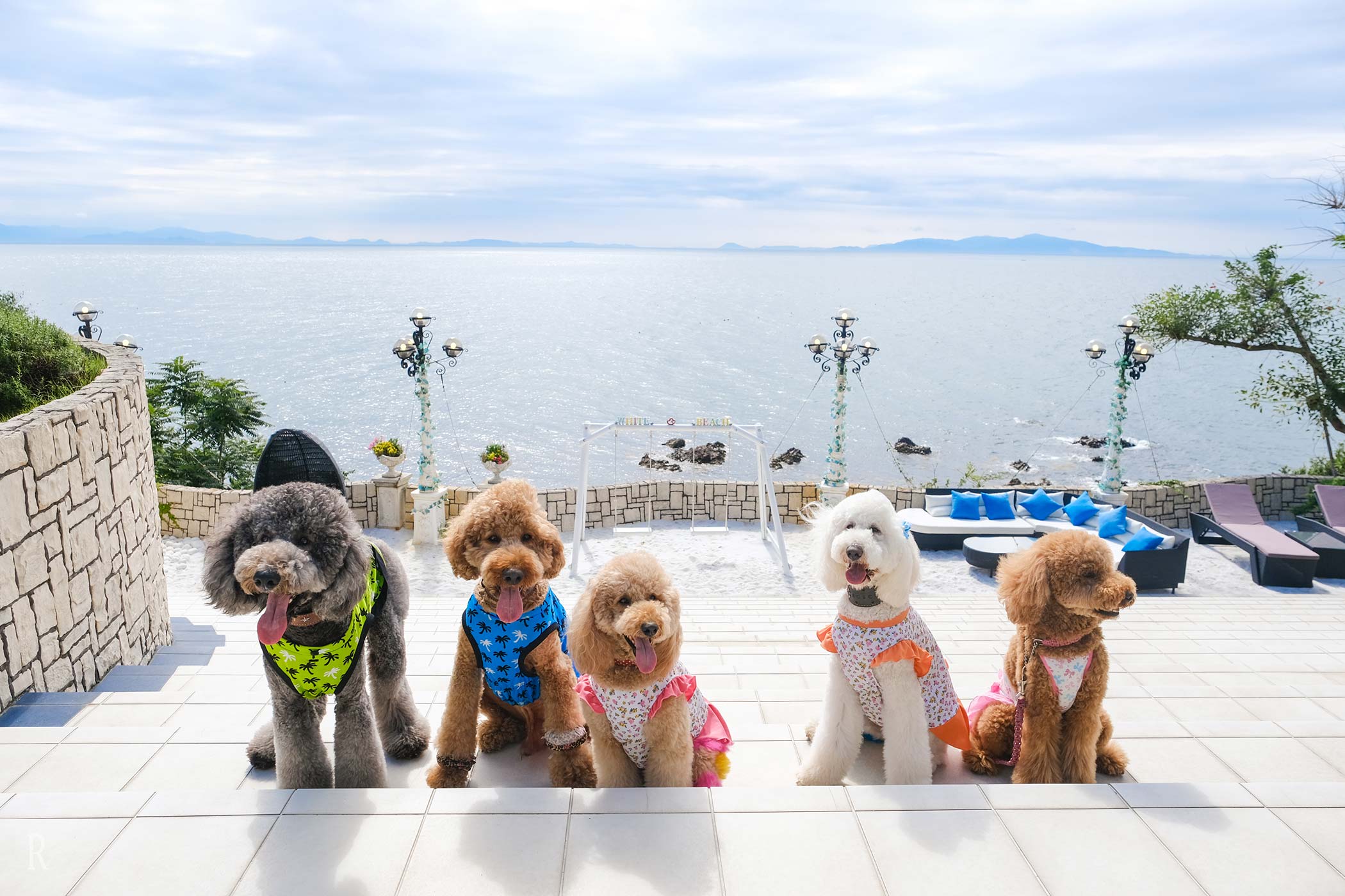 overlooking the Seto Inland Sea Spectacular Ocean View Glamping