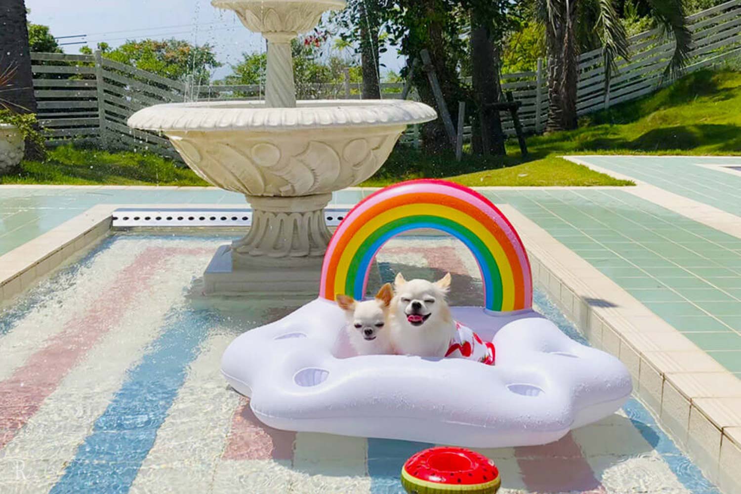 A full range of dog-friendly services
