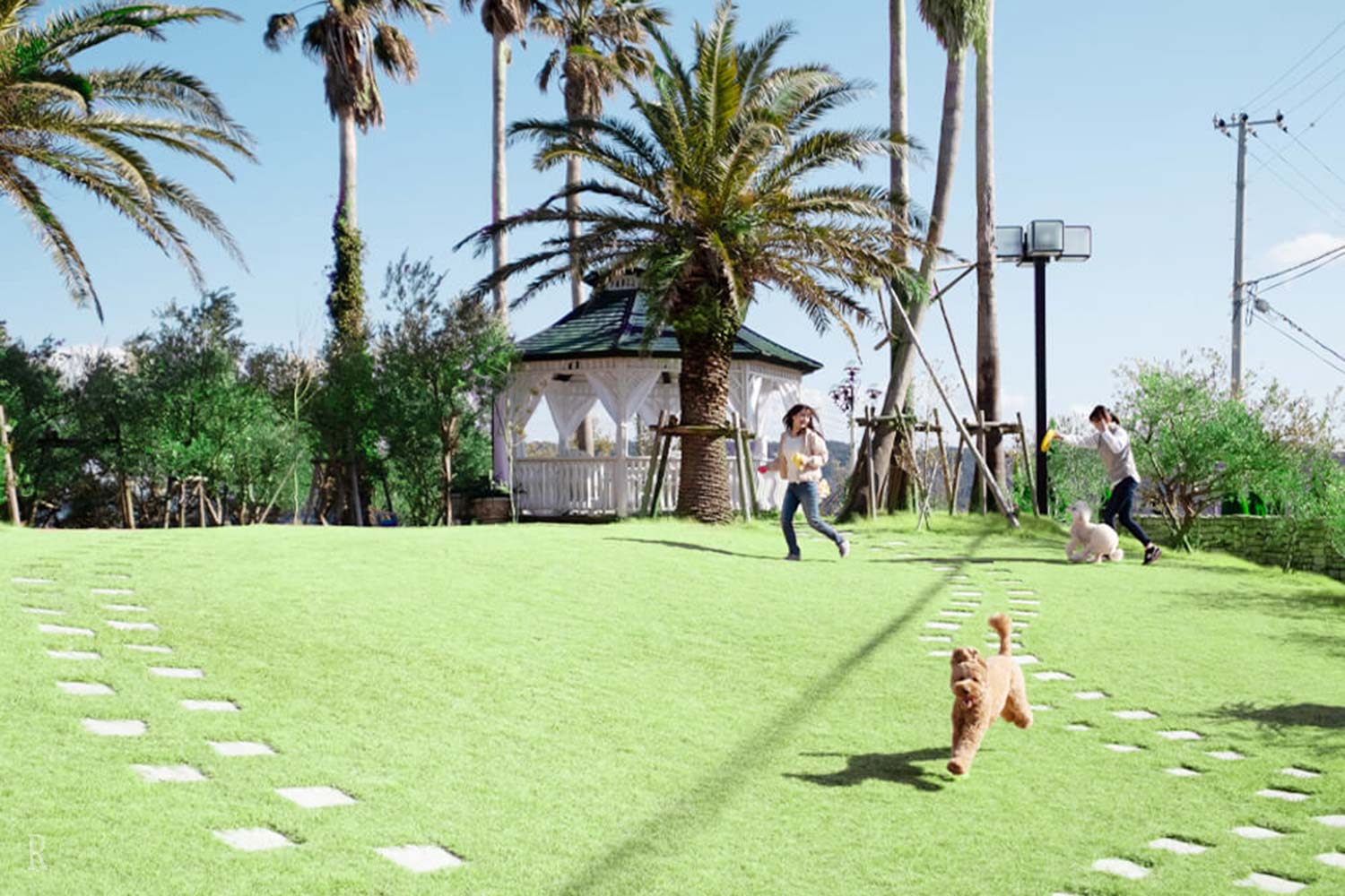 A full range of dog-friendly services